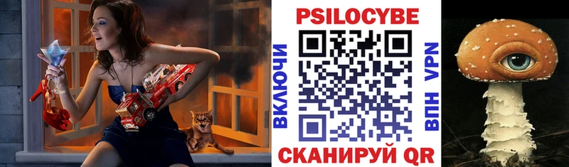 Псилоцибиновые грибы мухоморы  где можно купить   Южа 